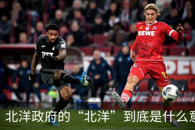 北洋政府的“北洋”到底是什么意思？不是北方洋人的意思