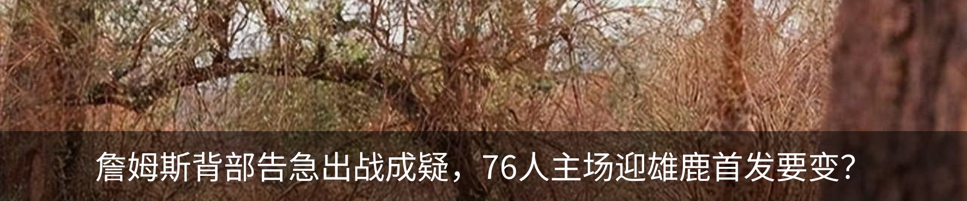 新闻中心